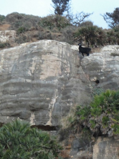 Термальные источники и лечебные грязи 