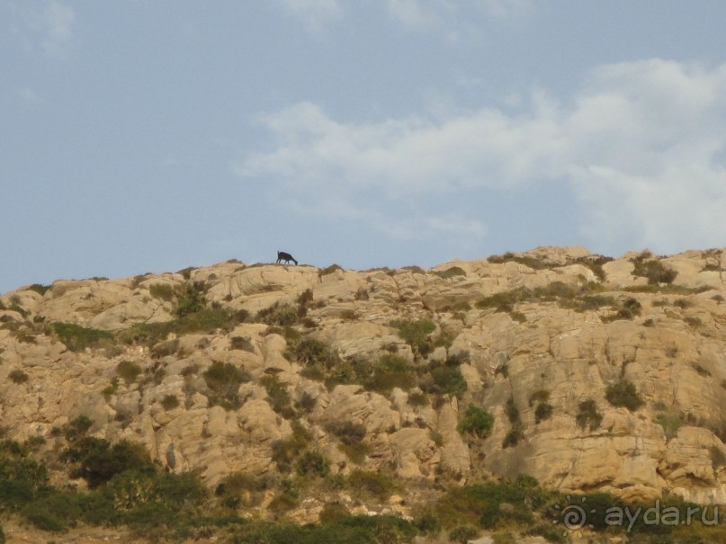 Термальные источники и лечебные грязи 