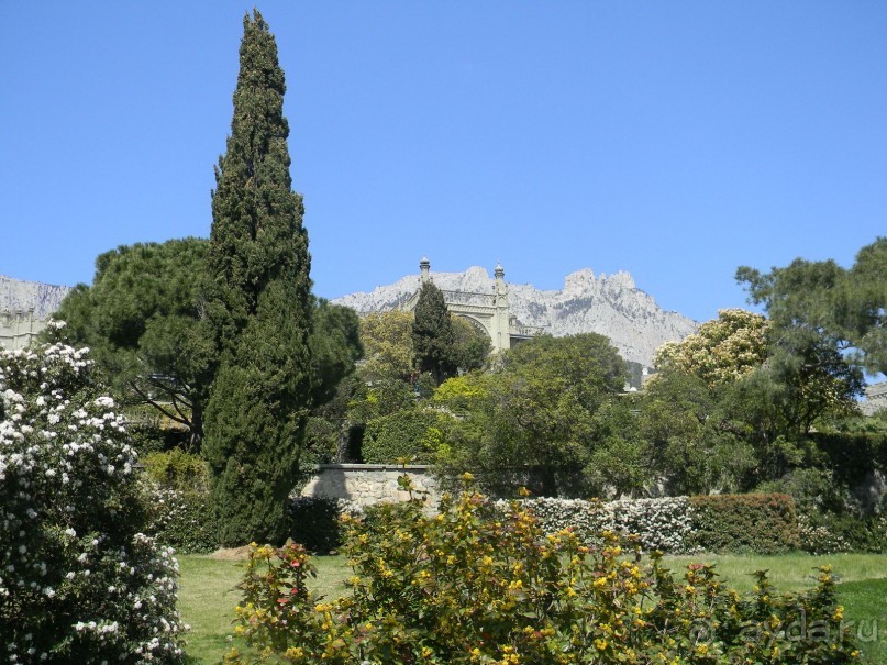 Обожаю весенний парк Алупки!