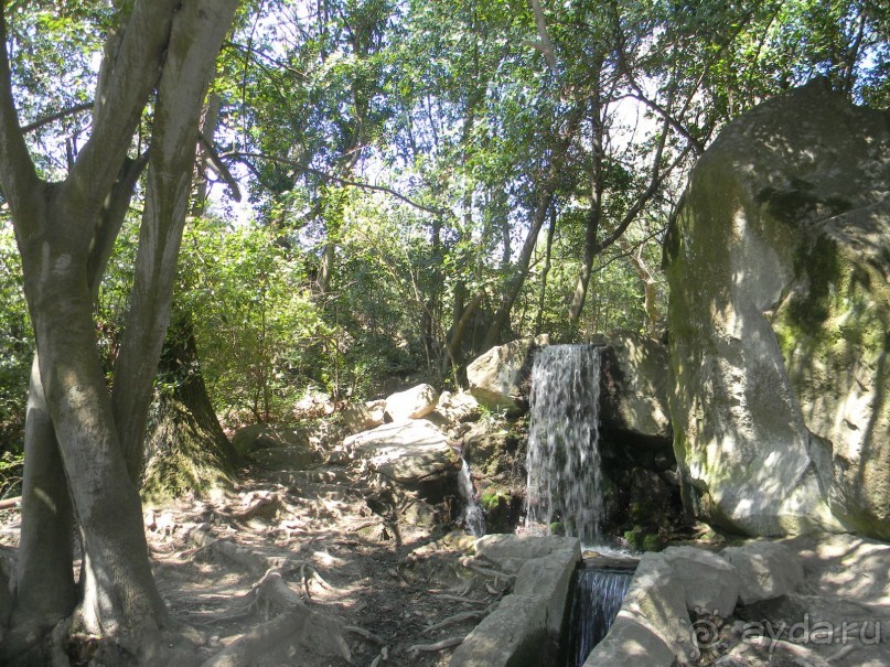 Обожаю весенний парк Алупки!