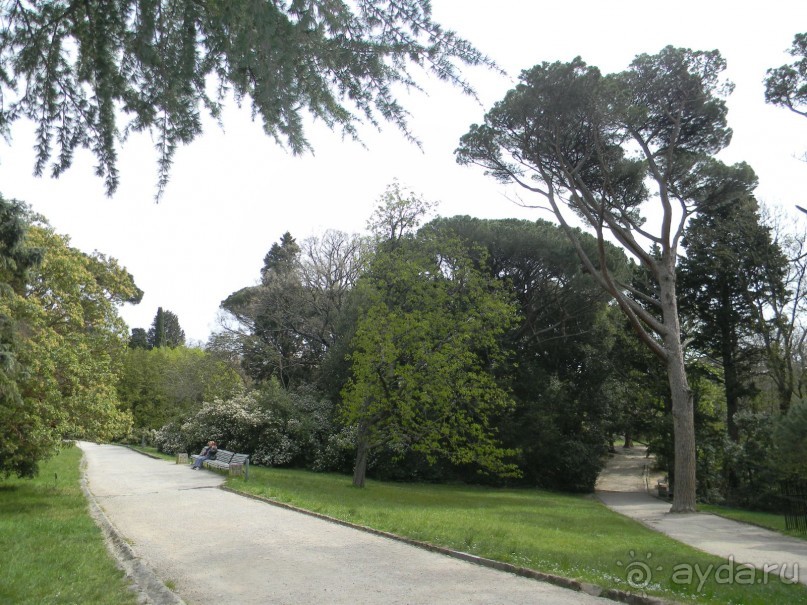 Обожаю весенний парк Алупки!