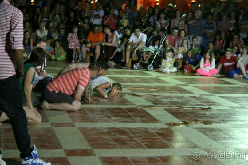 Самые замечательные весенние каникулы!