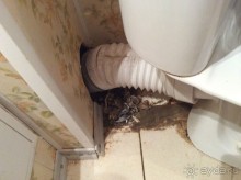 фото Милое Место