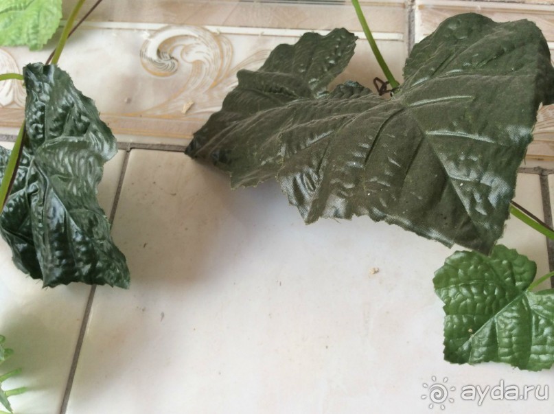 Милое место -самое ужасное