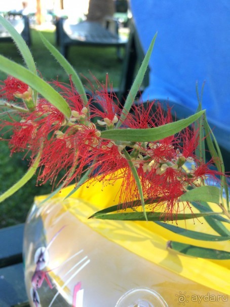 фото Orestion Hotel