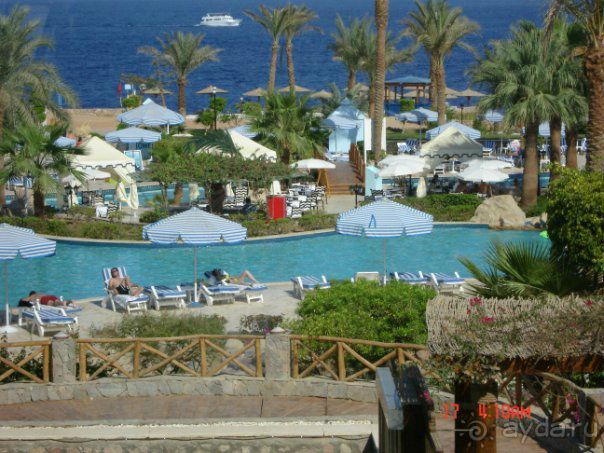 фото Hilton Sharm Waterfalls Resort