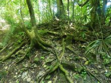 Стоит того...