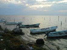 Стоит того...