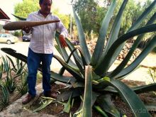 Стоит того...