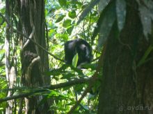 Стоит того...