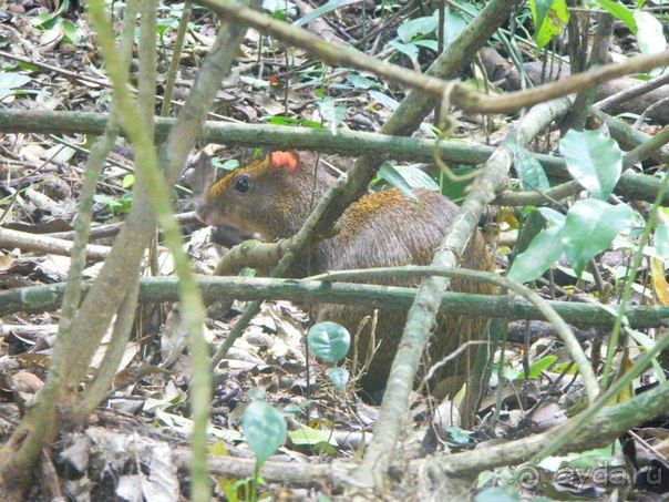 Стоит того...