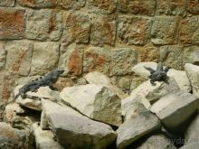 Стоит того...