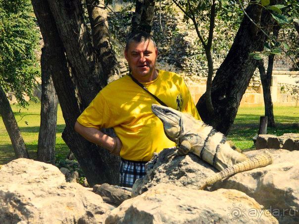 Стоит того...