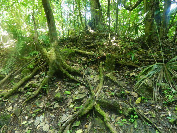 Стоит того...