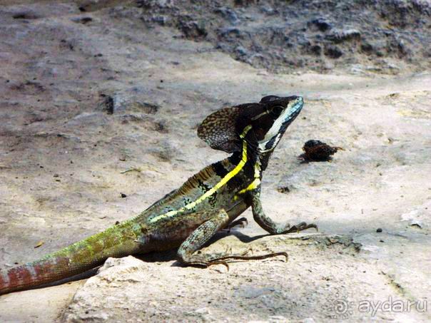 Стоит того...