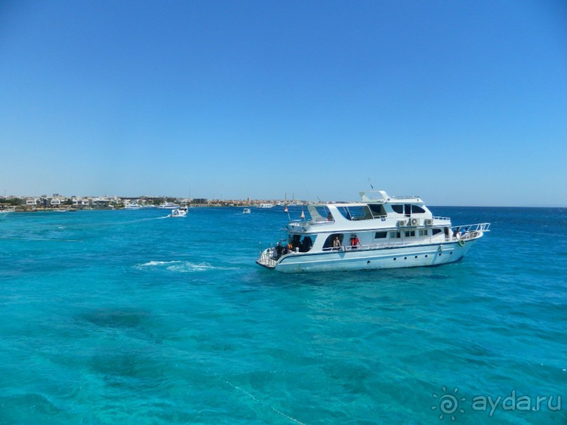 Мелко,лучше с младенцами...