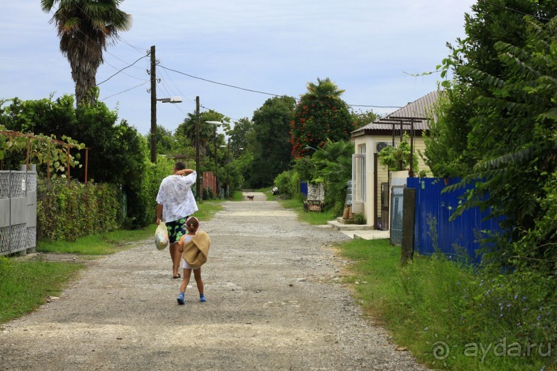 Дорога к морю-5-7 мин по деревенской улочке,никаких соблазнов!!!