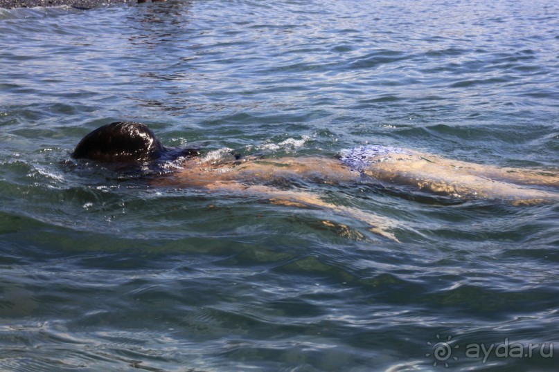 Море чистейшее