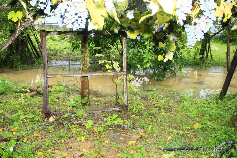 Храм  в монастыре в п.Новый Афон