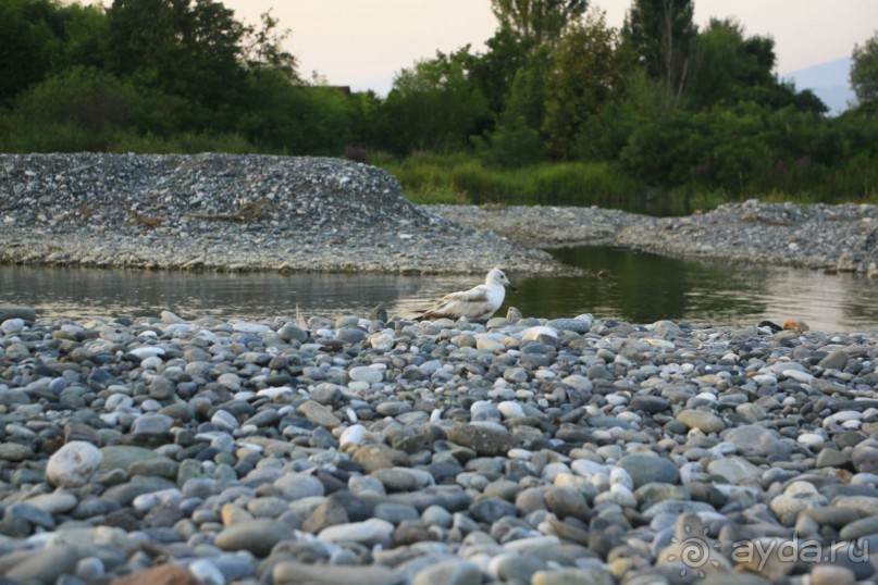 Вкуснейший абхазский пирог с домашним сыром