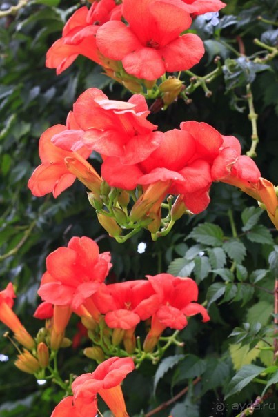 Отдых с тремя маленькими детьми-как он есть...