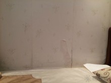 фото Джанхот