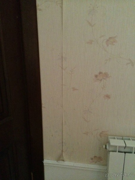 Испорченные выходные