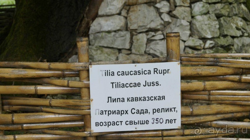 Абхазия