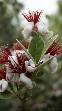 Сухум и не только...........