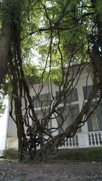 Сухум и не только...........