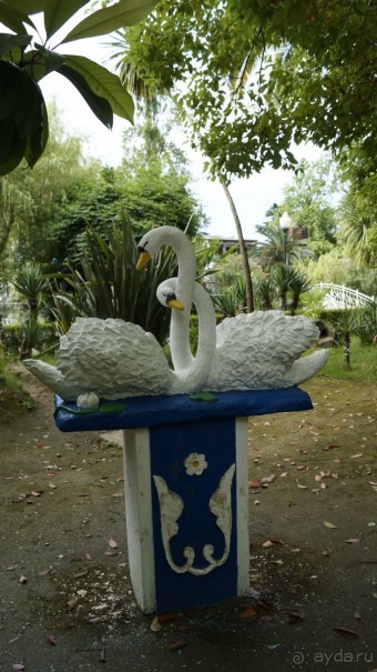 Сухум и не только...........