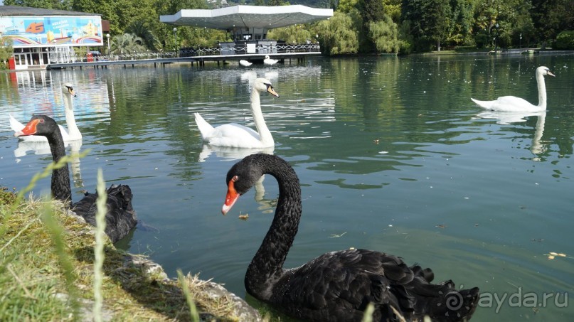 Сухум и не только...........