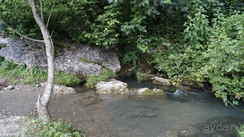 Сухум и не только...........