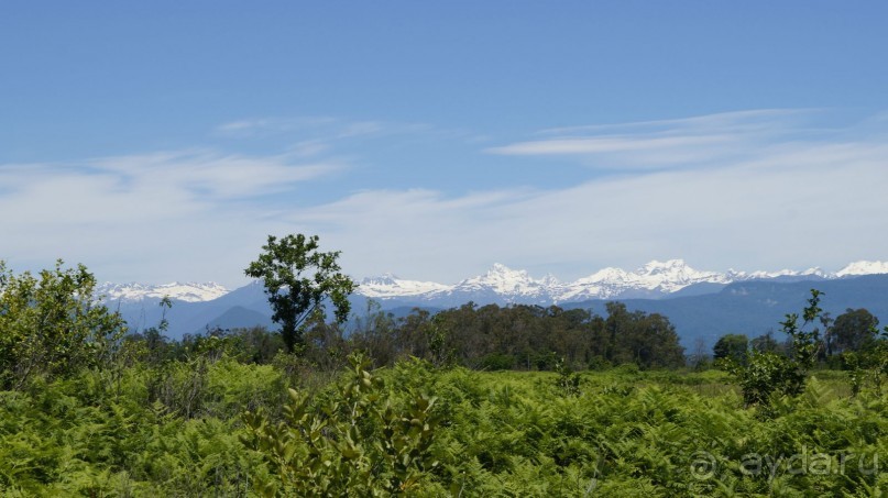 Сухум и не только...........