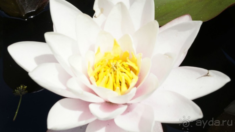 Сухум и не только...........