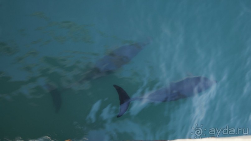 Сухум и не только...........