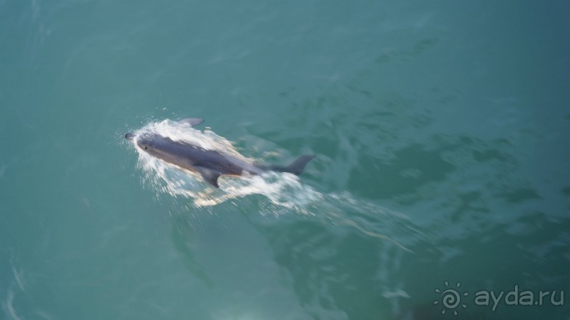 Сухум и не только...........