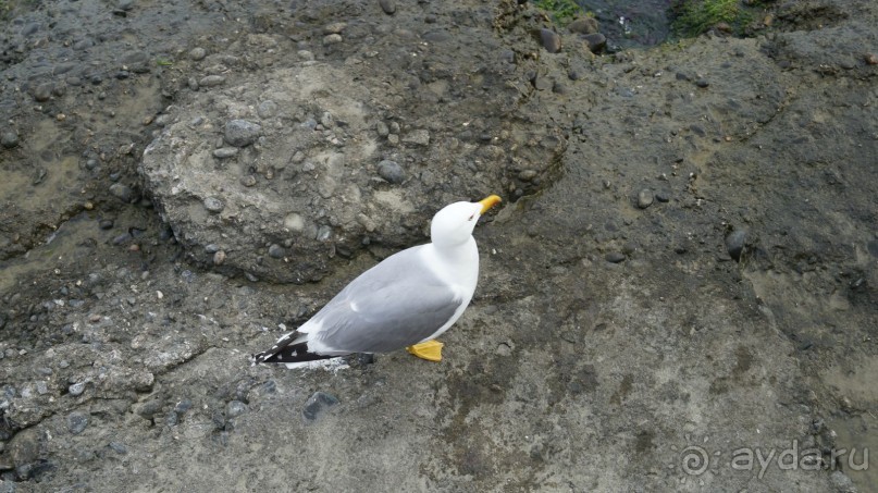 Сухум и не только...........