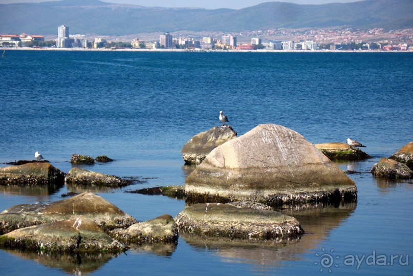 фото Helena Sands