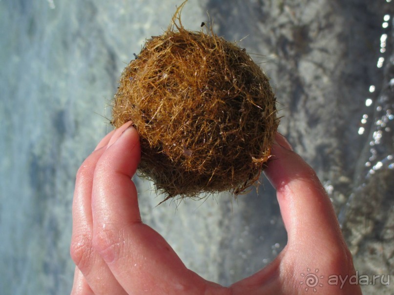 Хорошее впечатление.