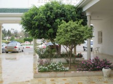 Хорошее впечатление.