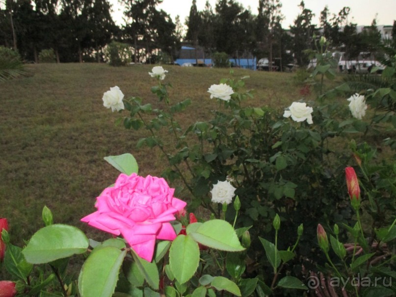 фото Congress Park Hotel Flamenco