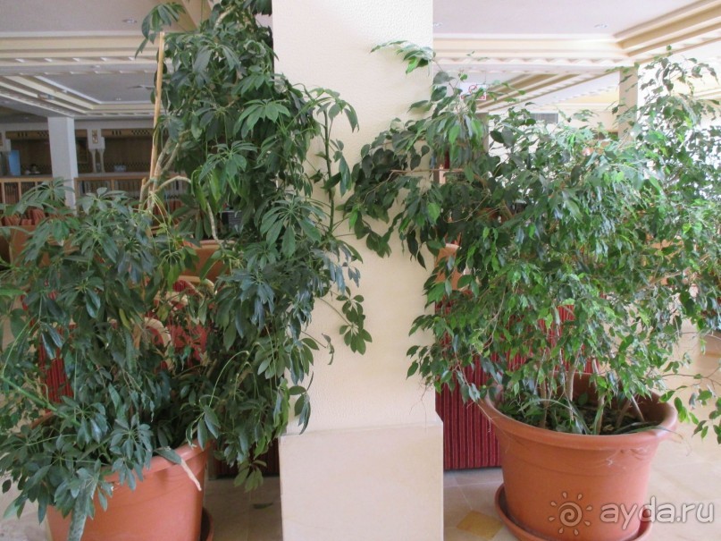 В холле отеля.