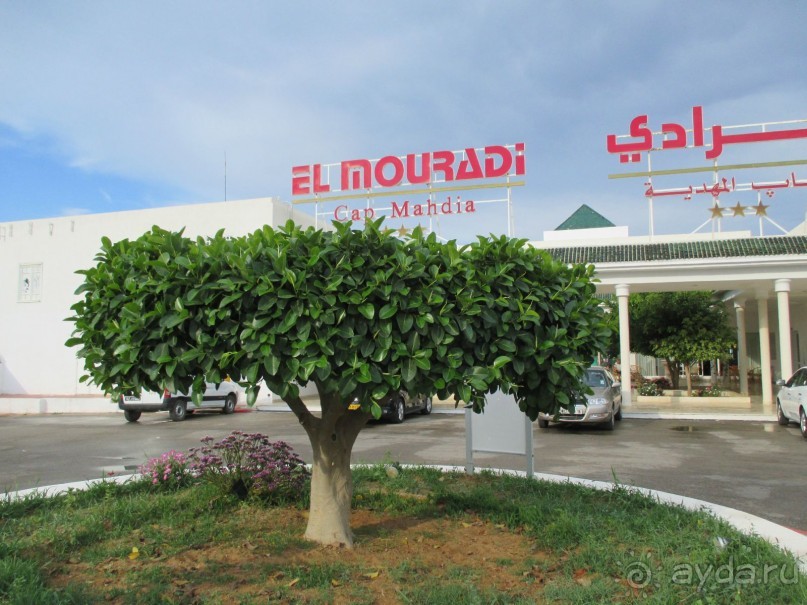 фото El Mouradi Cap Mahdia