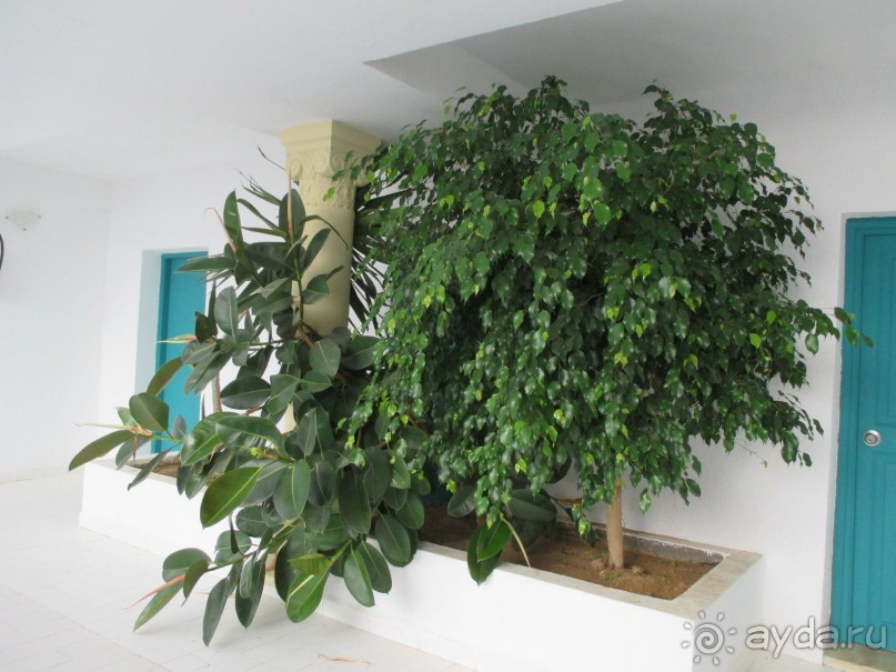 Хорошее впечатление.