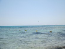 Хорошее впечатление.