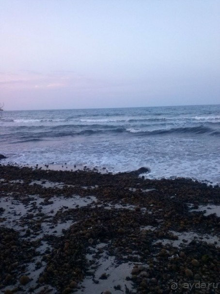 фото El Mouradi Cap Mahdia