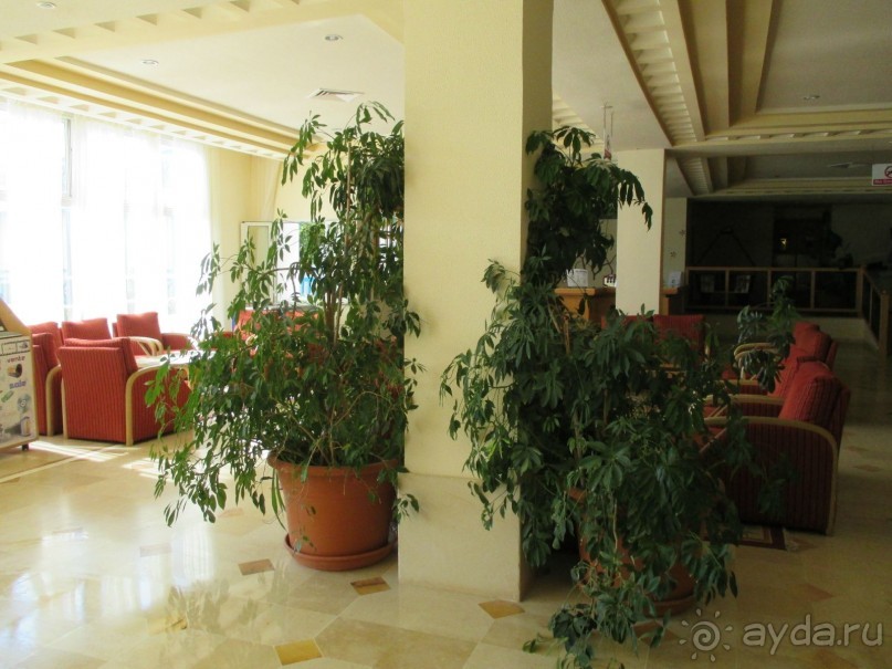 Хорошее впечатление.