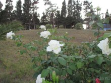 фото Congress Park Hotel Flamenco