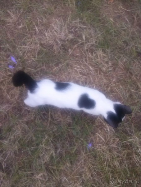 Хорошее впечатление.